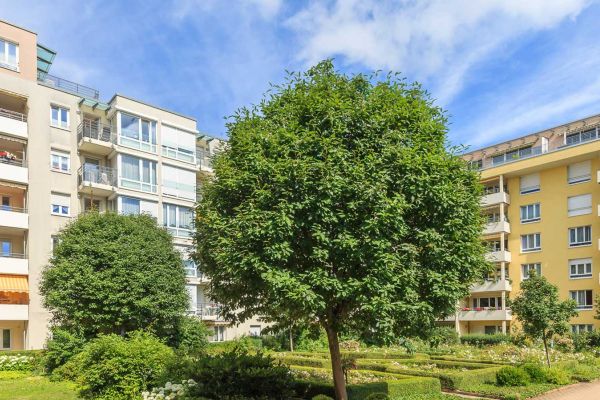 Service-Wohnen für Senioren im HesperidenPark in St. Johannis – zur Miete